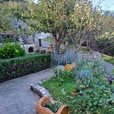 Country House "Lipa" Komarno Virpazar Luaran gambar