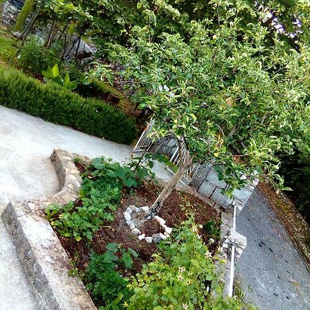 Country House "Lipa" Komarno Virpazar Luaran gambar