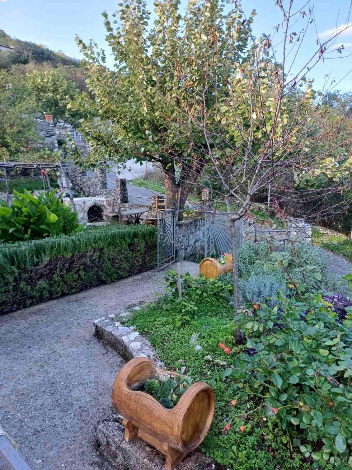 Country House "Lipa" Komarno Virpazar Luaran gambar
