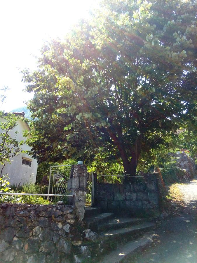 Country House "Lipa" Komarno Virpazar Luaran gambar