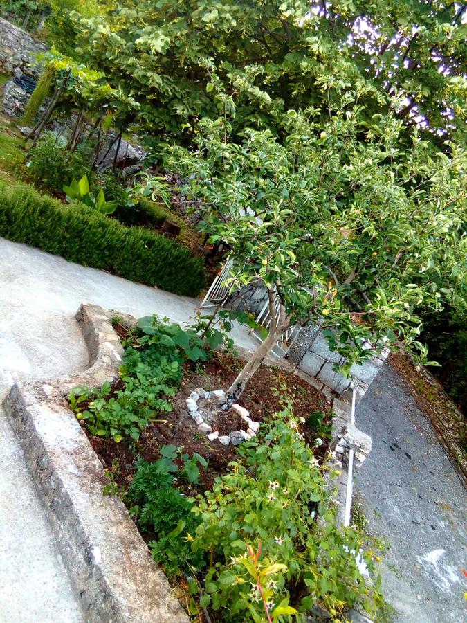 Country House "Lipa" Komarno Virpazar Luaran gambar