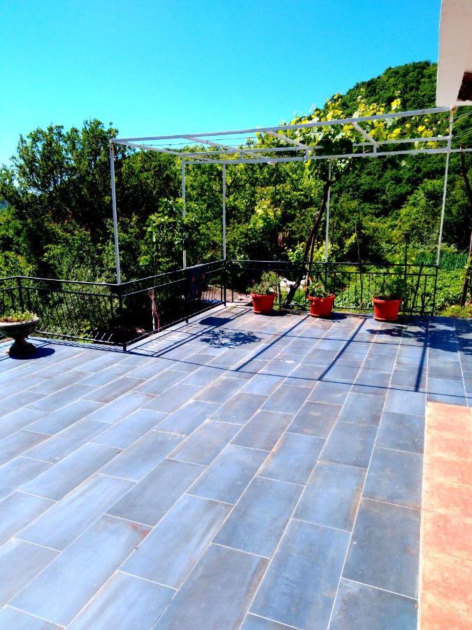 Country House "Lipa" Komarno Virpazar Luaran gambar